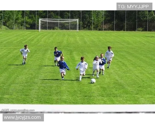 美国足球明星现状全景解析与未来发展趋势展望